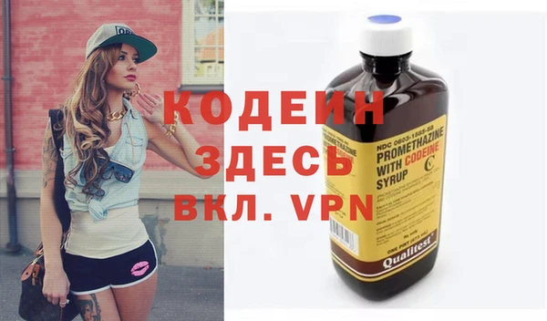индика Нягань