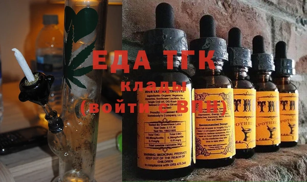 индика Нягань