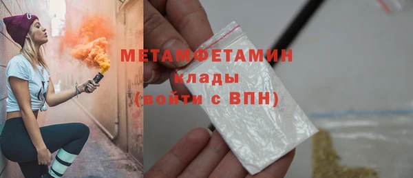 индика Нягань