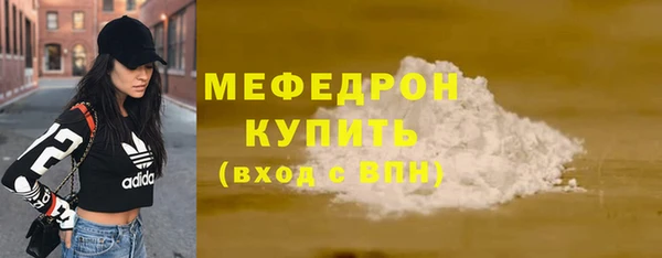 индика Нягань