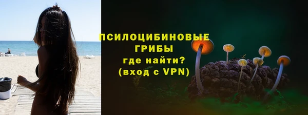индика Нягань