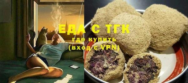 индика Нягань