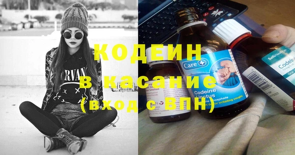 индика Нягань