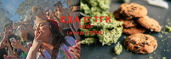 индика Нягань