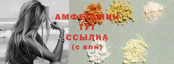 индика Нягань