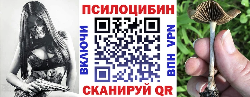 Галлюциногенные грибы прущие грибы  Куса 